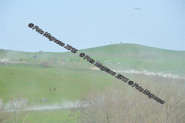 DSC_6849.JPG